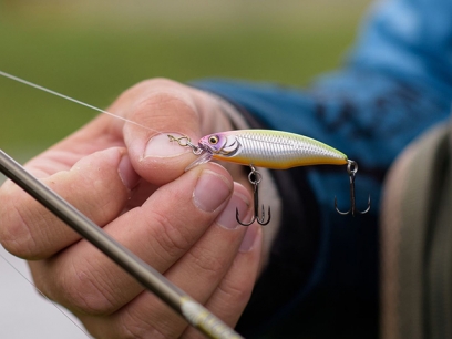 Tackle Bait: What's The Difference? LCT Bait Tackle Shop, 47% OFF