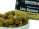 Boilies CC Moore Glugged Live System Boilie Hookbaits