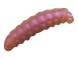 Crazy Fish MF H-Worm Inline 1.7cm 52 Shrimp Squid