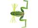 Daiwa Prorex Micro Frog DF 3.5cm Green Toad