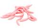 Prime Linked Worm 2.5cm Pink