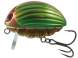 Vobler Salmo Bass Bug 5.5cm 26g Green Bug F
