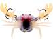 Westin Coco the Crab 2cm 6g Ghost Crab S