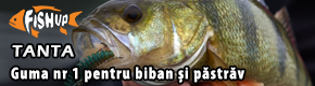 FishUp Tanta
